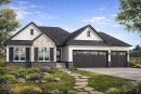 3d view 231